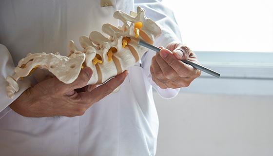 Doctor pointing to model of spine